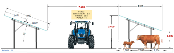 Schéma comparatif des hauteurs : panneaux photovoltaïques, tracteur et bovins, illustrant la compatibilité du projet avec l'activité agricole.